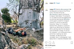 harry natgeo IG 2.jpg