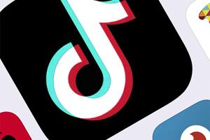 TikTok-Concerns