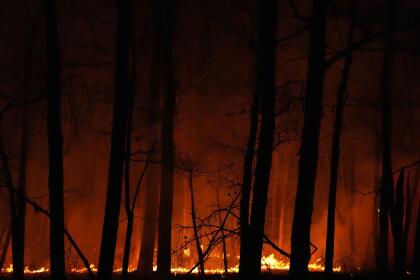 A fire burns on Tuesday, April 22, 2025, near Waretown, N.J. (AP Photo/Chris Szagola)
