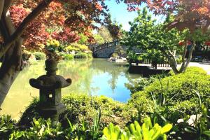 jardin1.jpg