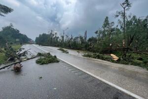 NCDOT I-95