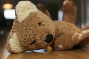 oso-de-peluche.jpg