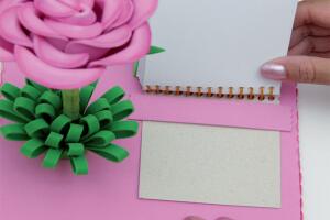 flor-de-eva-para-decoração-12.jpg