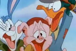 tiny toons.jpg