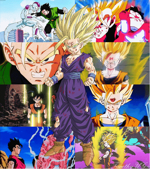 Gohan historia