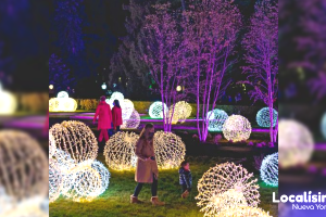 Que hacer en Nueva York con niños, gratis 