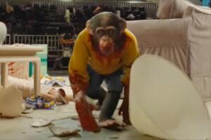 NOPE ataque del chimpancé.jpg