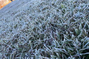 Hielo.jpeg