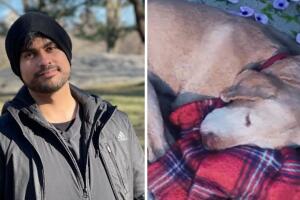 Gamer se "reencuentra" con su perrito muerto a través de realidad virtual