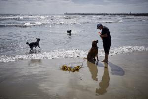 Germany Bayer Elanco