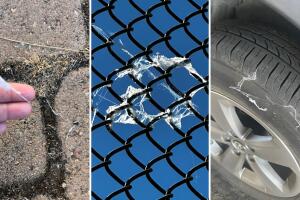 Descubre el sorprendente fenómeno en el Área de la Bahía de San Francisco, donde telarañas con crías de araña están cayendo del cielo. Biólogos explican que es un proceso natural de dispersión, pero ha despertado la imaginación de muchos.