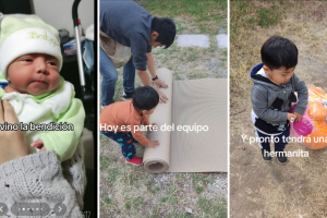 economista-renuncio-trabajo-pinatas (3).png