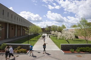SUNY.jpg