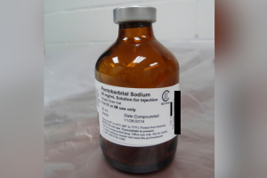 PENTOBARBITAL