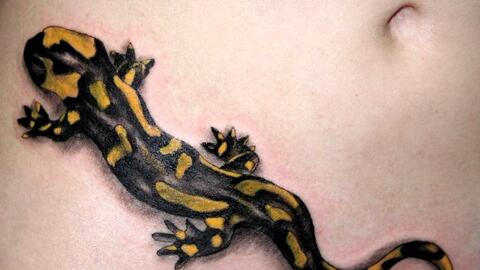 Simbolos De Tatuajes Sagitario Salamandra Salmon Sandia Y Sapo Entretenimiento Cultura Pop Univision Simbolos De Tatuajes Sagitario Salamandra Salmon Sandia Y Sapo Entretenimiento Cultura Pop Univision