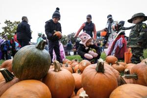 Clay Terrace Boo 'N Brew