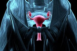 utero-corpo-feminino-0319-1400x800.jpg