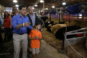 Marco Rubio durante picnic familiar en Iowa