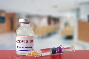 proteina_coronavirus_avance_combate_3.jpg