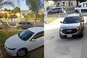 LASD pandillas