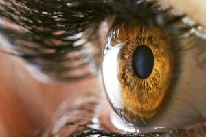 Olhos abre