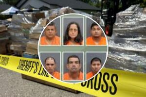 Investigadores aseguran que la operación generó cerca de $7 millones en ganancias.