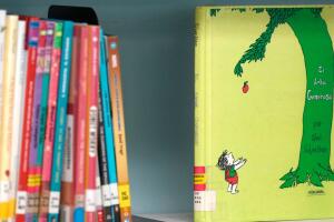Defensores de la lectura advierten que restringir la ficción podría afectar el aprendizaje estudiantil.