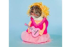 Pelucas para perro de Dolly Parton (2).jpg