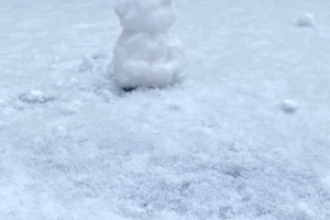 Berenice Southlake.PNG