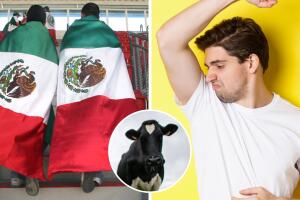 leche_vaca_olor_mexicanos.jpg