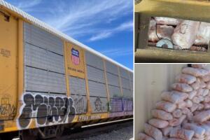 Cruzan droga escondida en un tren de carga. 