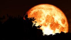Cómo ver la 'Luna del Cazador' este domingo (y qué otros eventos astronómicos quedan este año)