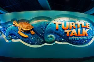 Turtule Talk with Crush.jpg