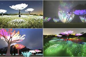 sf park collage.jpg
