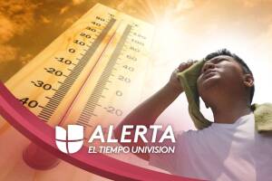 ola de calor_LA (1).jpg