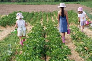 los-niños-y-las-plantas.jpg
