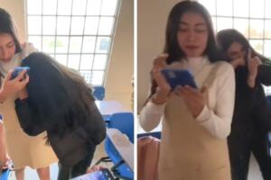 universidad_resultados_tiktok.jpg