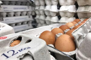 huevos