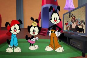 los_animaniacs_serie_del_2020.jpg