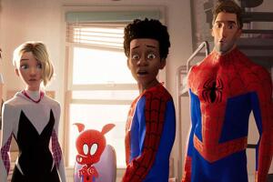 Spider-CP-900x506.jpg