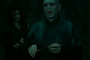 voldemort_bellatrix.jpg