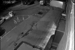 Brooklyn Sewer Mystery