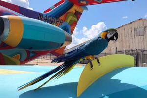 GALERIA GONZO/Foto 2.jpg