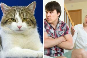 gato_pareja_polemica