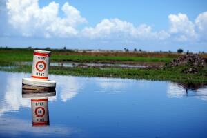 High Levels Of Arsenic Found In Lake Okeechobee Muck