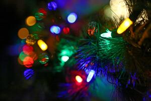 La magia de las luces de navidad en el zoológico de Houston