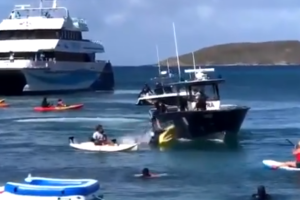 vieques.png