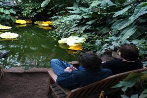 CHIHULY EXHIBIT