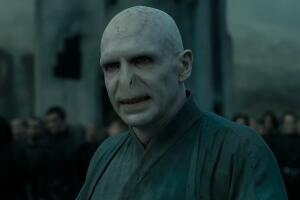 voldemort harry potter 4.jpg