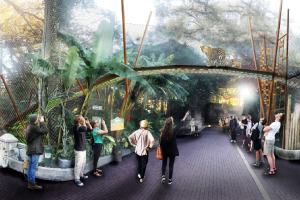 zoologicosanantonio.png